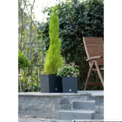 Prosperplast Pflanztopf Rato Low 26,2 x 26,2 x 26,6 cm in Anthrazit