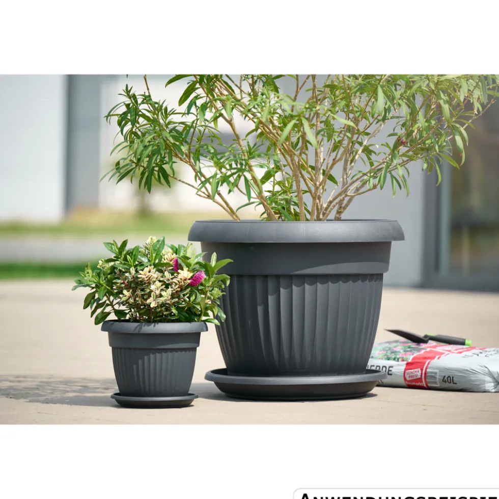 Prosperplast Pflanztopf Terra rund Ø 64 cm anthrazit