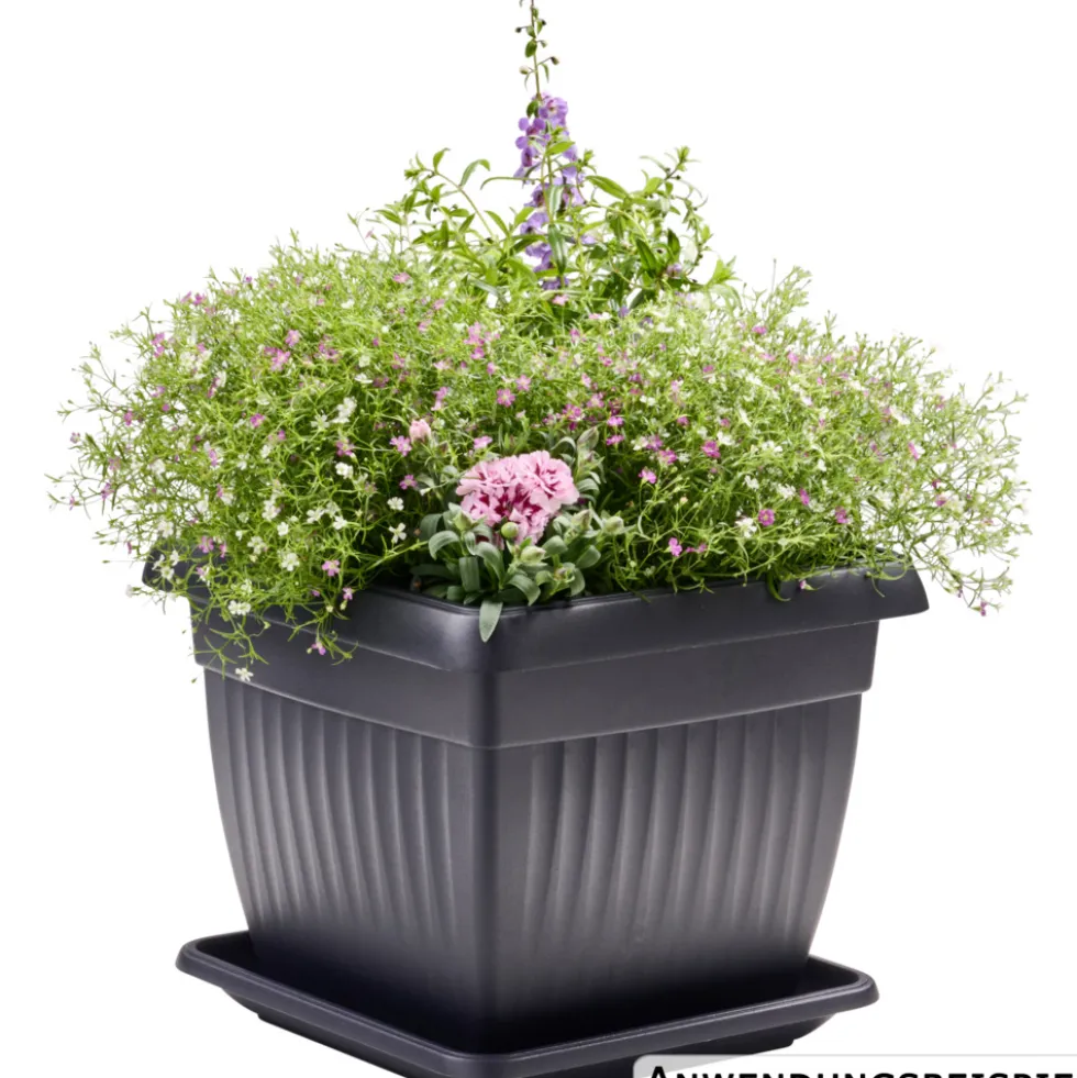 Prosperplast Pflanztopf Terra 30 x 30 cm anthrazit