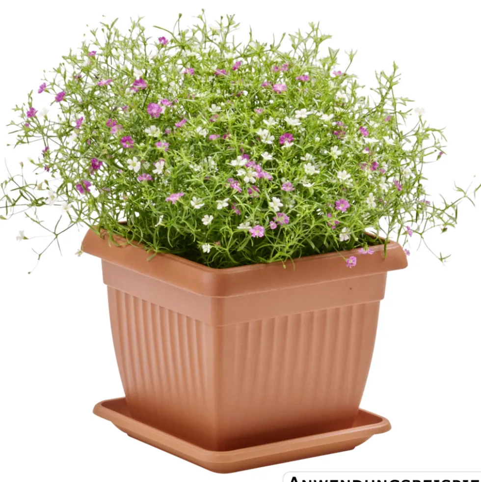 Prosperplast Pflanztopf Terra 15 x 15 cm terracotta