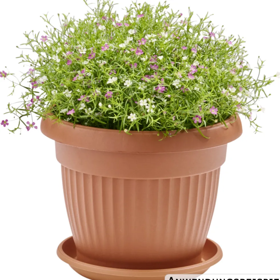 Prosperplast Pflanztopf Terra rund 20 cm terracotta