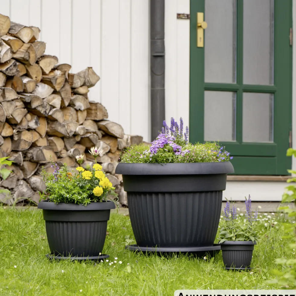 Prosperplast Pflanztopf Terra rund 40 cm anthrazit