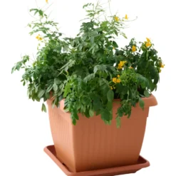 Prosperplast Pflanztopf Terra 45 x 45 cm terracotta