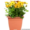 Prosperplast Pflanztopf Terra 37 x 37 cm terracotta