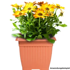 Prosperplast Pflanztopf Terra 37 x 37 cm terracotta