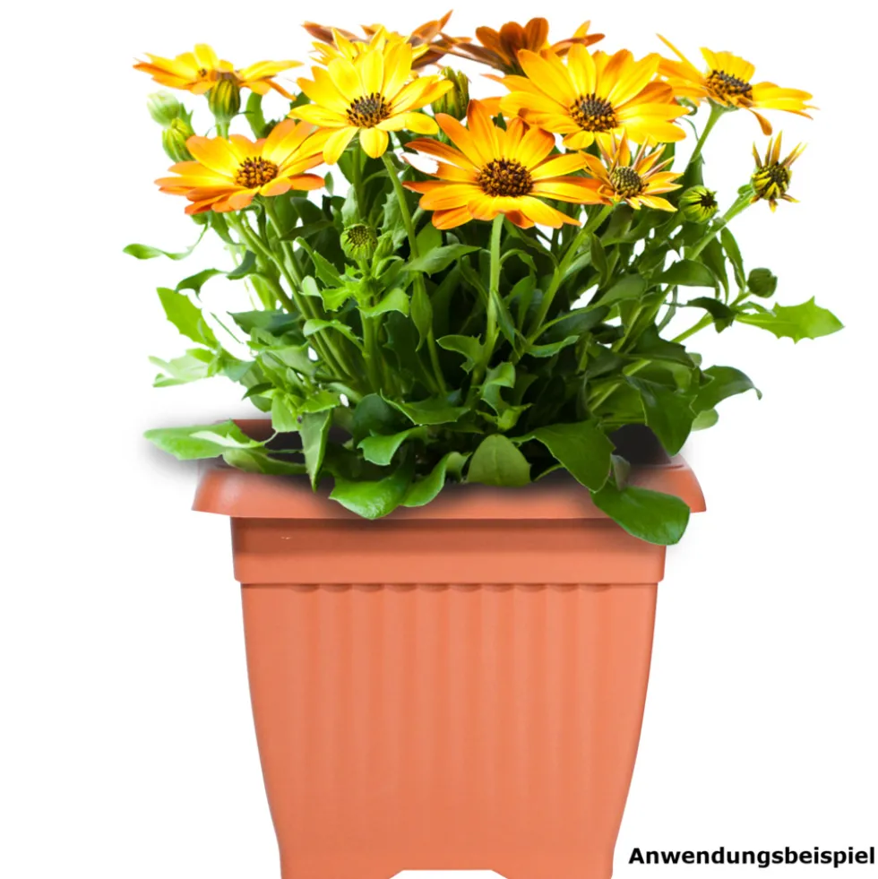 Prosperplast Pflanztopf Terra 37 x 37 cm terracotta