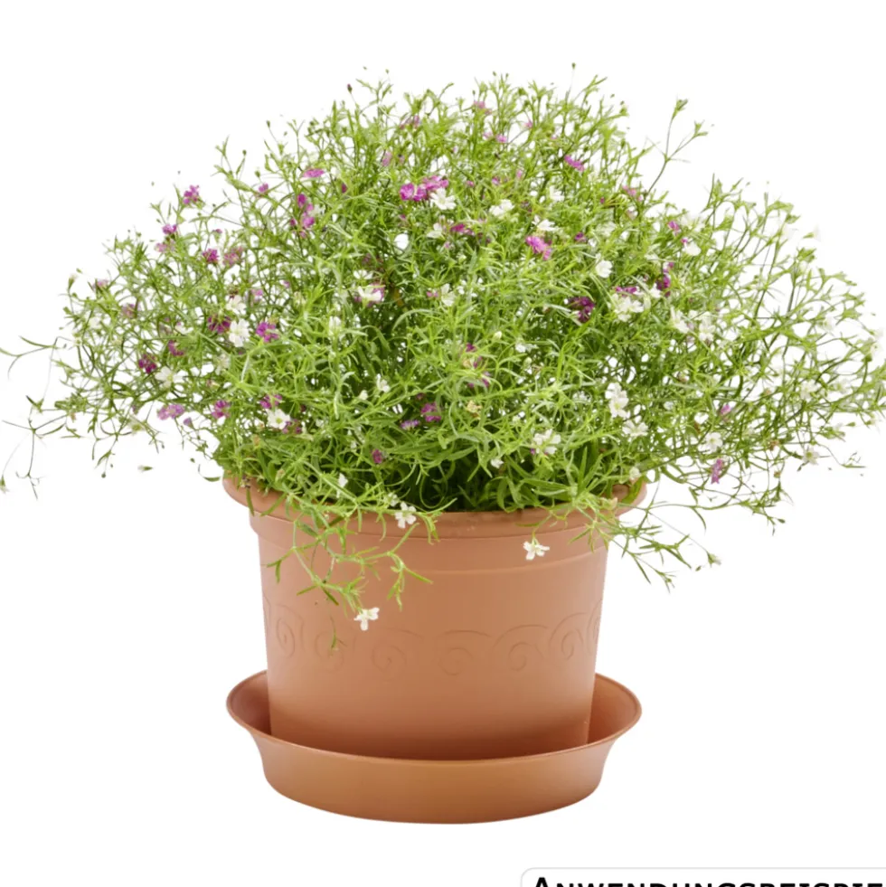 Prosperplast Planztopf Plastica rund 15 cm terracotta