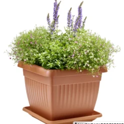 Prosperplast Planztopf Terra 30 x 30 cm terracotta