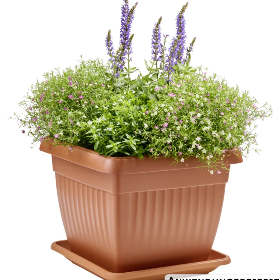 Prosperplast Planztopf Terra 30 x 30 cm terracotta
