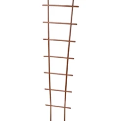Prosperplast Rankhilfe 20 x 67 cm Braun