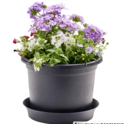 Prosperplast Untersetzer Plastica rund Ø 22 cm in anthrazit