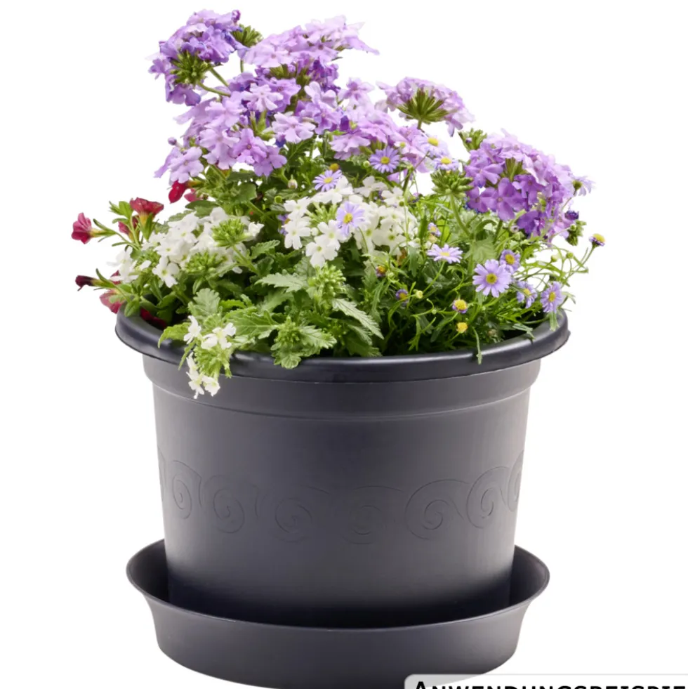 Prosperplast Untersetzer Plastica rund Ø 22 cm in anthrazit
