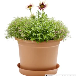 Prosperplast Untersetzer Plastica rund Ø 31 cm in terracotta