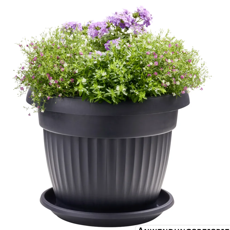 Prosperplast Untersetzer Terra rund Ø 17 cm in Anthrazit
