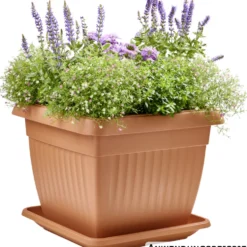 Prosperplast Untersetzer Terra eckig 41 x 41 cm in Terracotta