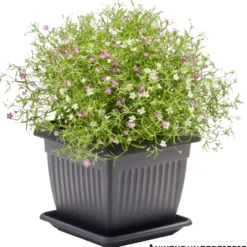 Prosperplast Untersetzer Terra eckig 27 x 27 cm in Anthrazit