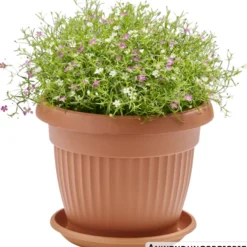 Prosperplast Untersetzer Terra rund Ø 17 cm in Terracotta