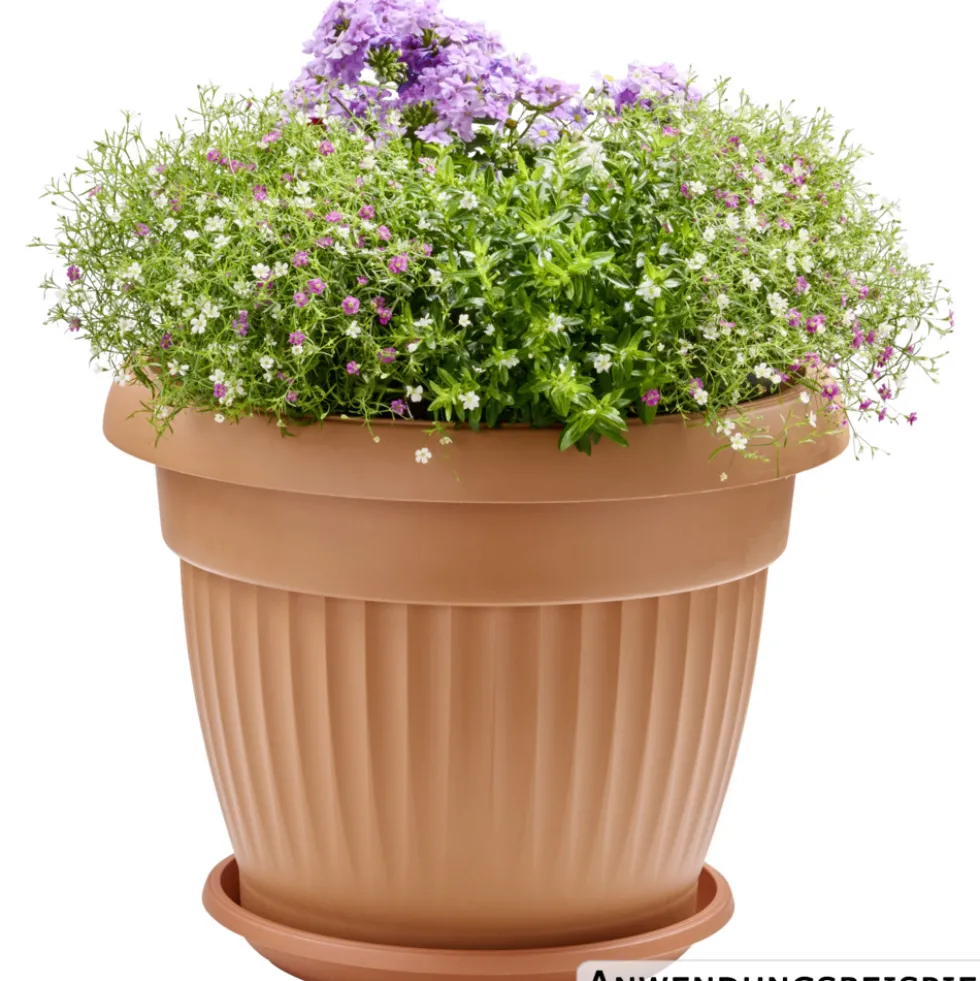 Prosperplast Untersetzer Terra rund Ø 29 cm in Terracotta