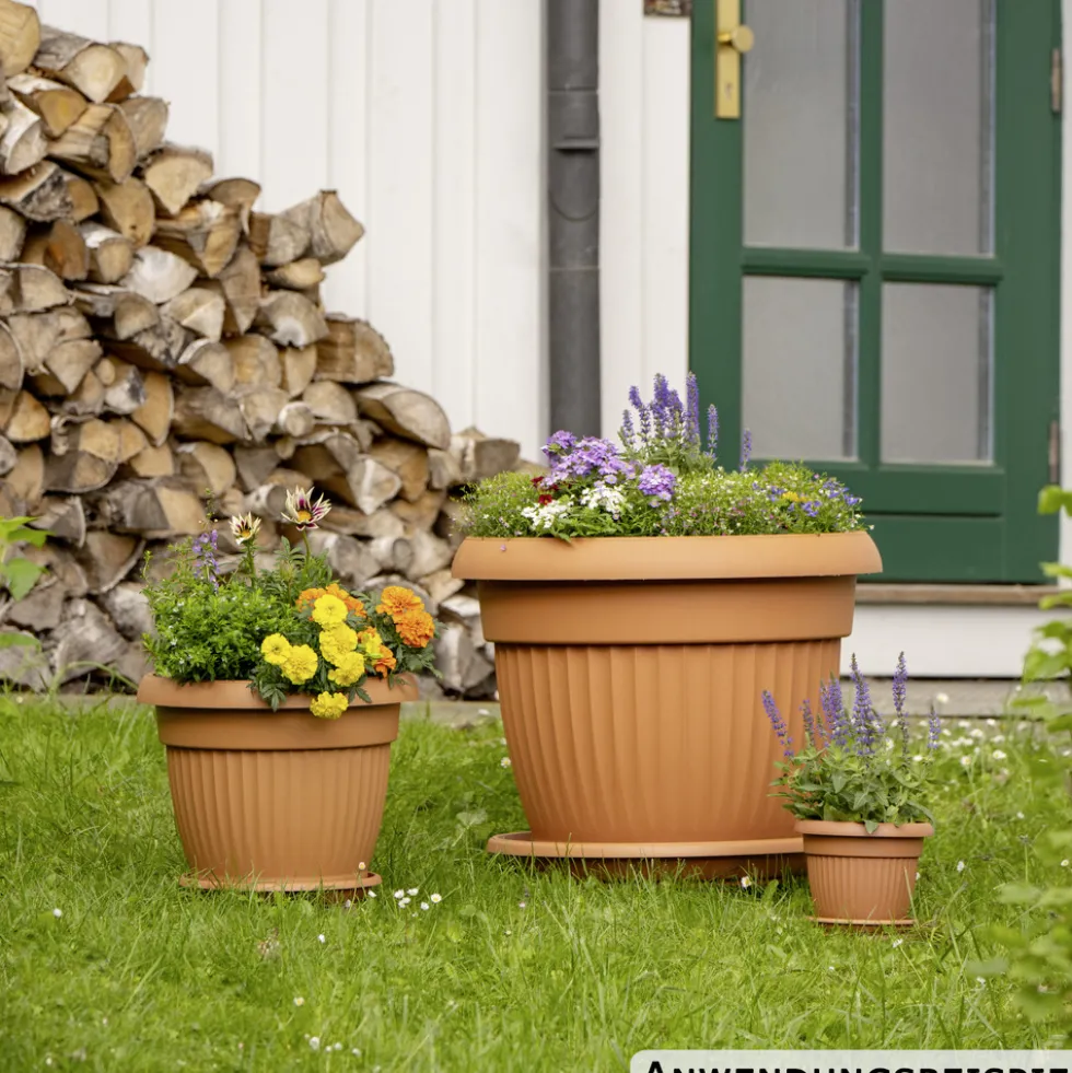 Prosperplast Untersetzer Terra rund Ø 29 cm in Terracotta