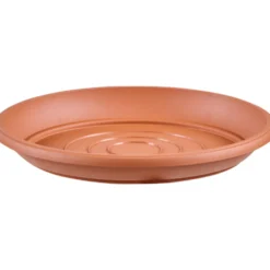 Prosperplast Untersetzer Terra rund Ø 29 cm in Terracotta