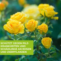 Protect Garden Curamat AZ Rosen Kombi-Set