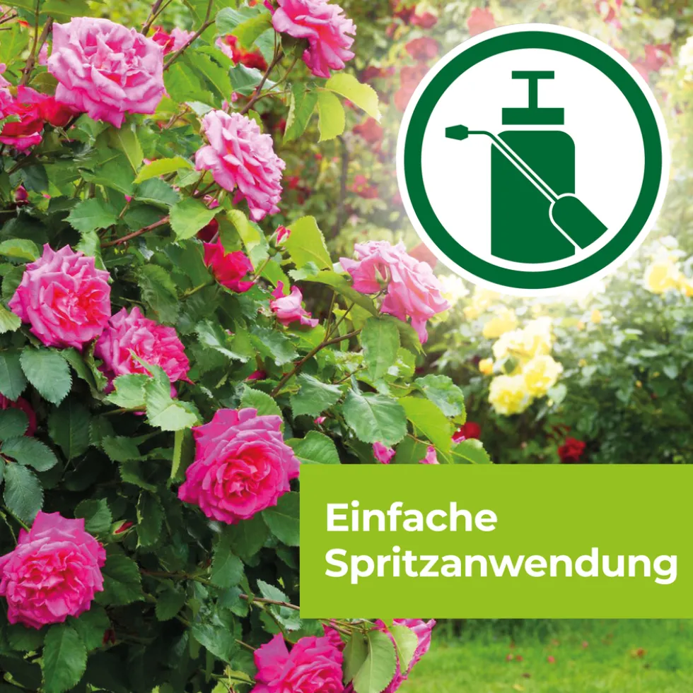 Protect Garden Curamat AZ Rosen-Pilzfrei 8 ml Konzentrat