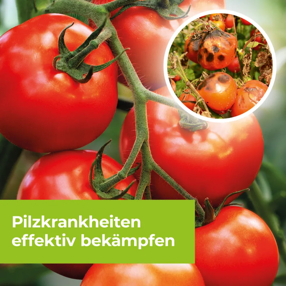 Protect Garden Curamat AZ Rosen-Pilzfrei 8 ml Konzentrat