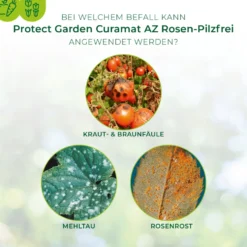 Protect Garden Curamat AZ Rosen-Pilzfrei 8 ml Konzentrat