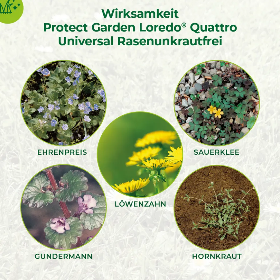 Protect Garden® Loredo® Quattro Universal-Rasenunkrautfrei 400 ml