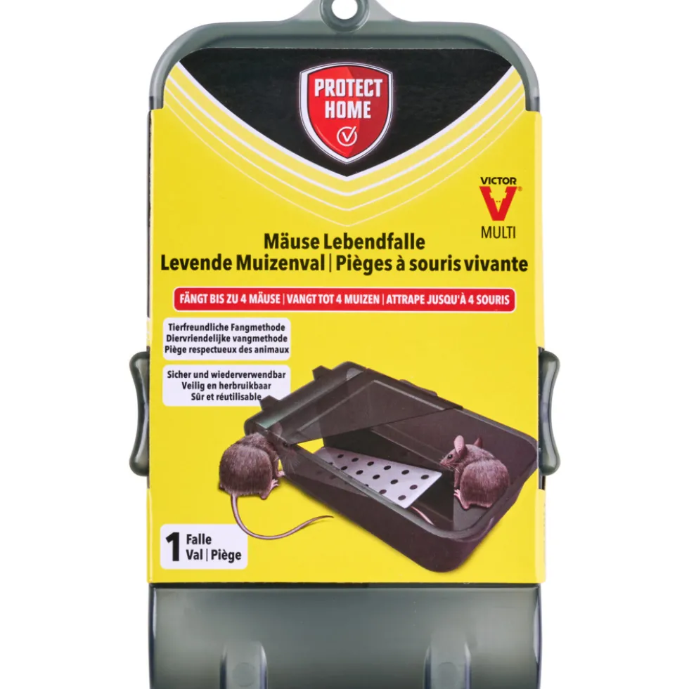 Protect Home Lebendfalle aus Kunststoff in Schwarz für Mäuse