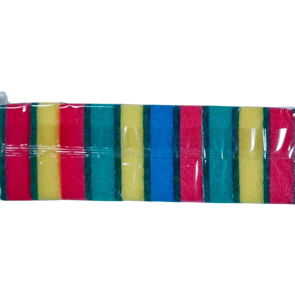 Reinex Putz-Fix-Schwamm-Set 10 Stück