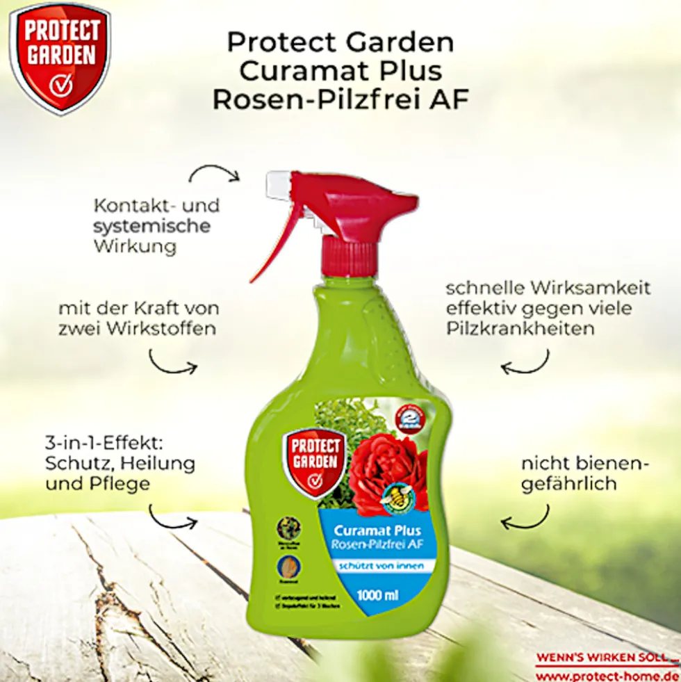 Rosen Pilzfrei Pflanzenschutzmittel