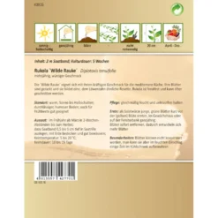 Saaband Rukola Wilde Rauke ca. 2 laufende Meter