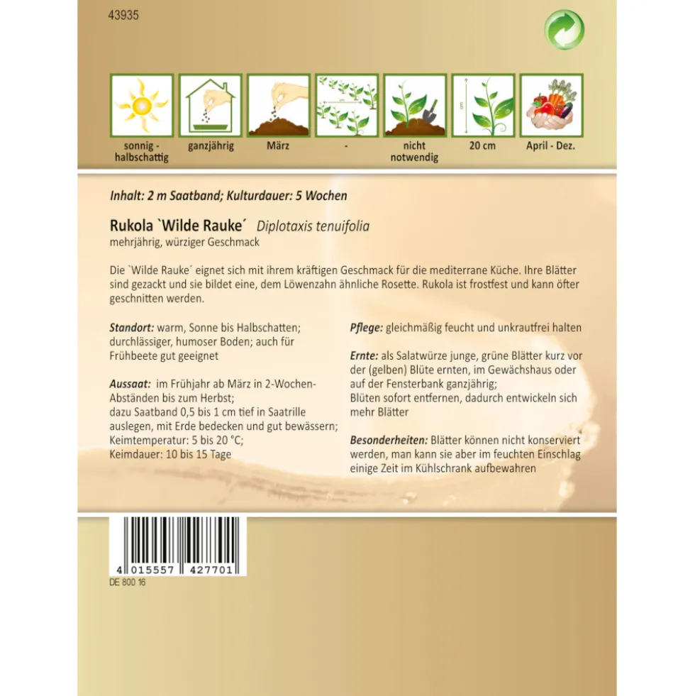 Saaband Rukola Wilde Rauke ca. 2 laufende Meter