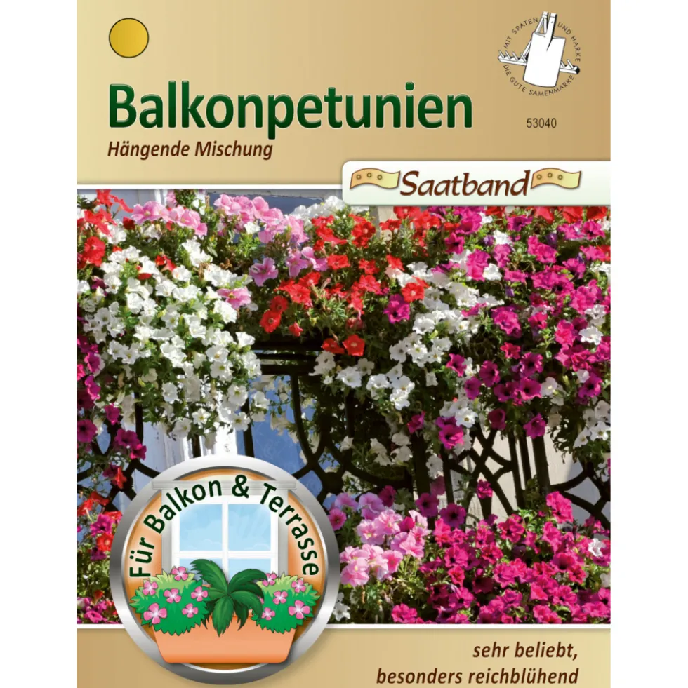 Saatband Balkonpetunien hängend ca. 2 laufende Meter