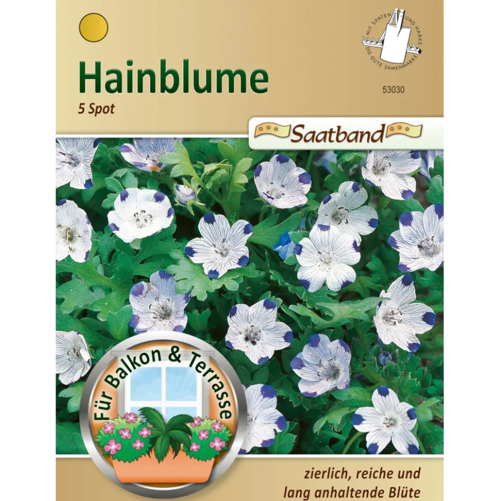 Saatband Hainblume ca. 2 laufende Meter