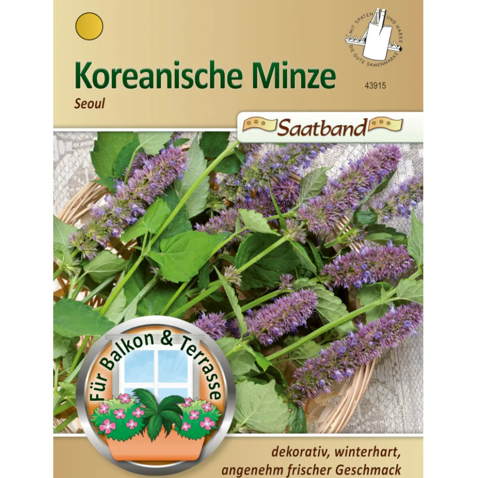 Saatband Koreanische Minze ca. 2 laufende Meter