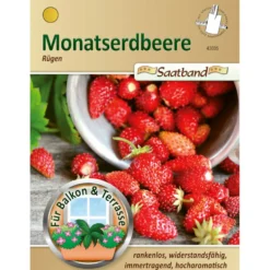 Saatband Monatserdbeere Rügen ca. 2 laufende Meter