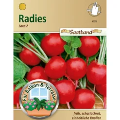 Saatband Radies Saxa ca. 2 laufende Meter