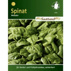 Saatband Spinat Matador ca. 2 laufende Meter