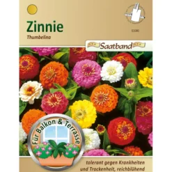 Saatband Zinnie Mix ca. 2 laufende Meter