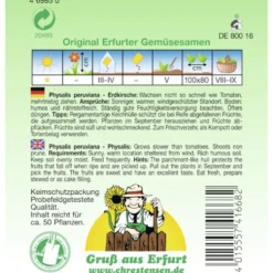 Saatgut Andenbeere Erdkirsche ca. 50 Pflanzen