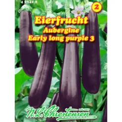 Saatgut Aubergine Eierfrucht, Violetta Lunga ca. 20 Pflanzen