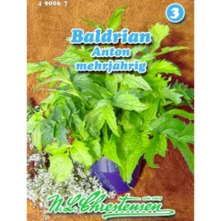 Saatgut Baldrian Anton ca. 200 Pflanzen