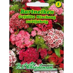 Saatgut Bartnelken Mix gefüllt ca. 100 Pflanzen