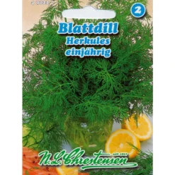Saatgut Blattdill Herkules 3-4 laufende Meter