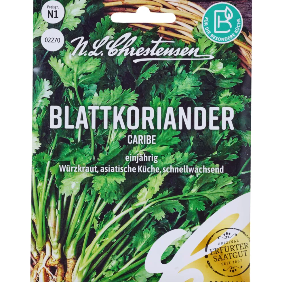 Saatgut Blattkoriander Caribe ca. 80 Pflanzen