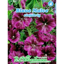 Saatgut Blaue Malve ca. 80 Pflanzen