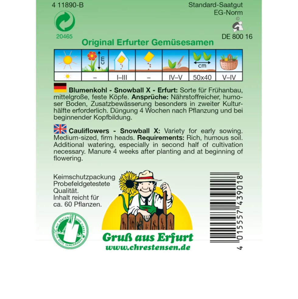 Saatgut Blumenkohl Snowball für ca. 60 Pflanzen
