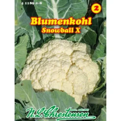 Saatgut Blumenkohl Snowball für ca. 60 Pflanzen